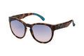 VENTURA SUNGLASSES SHINY BROWN/ HAND PAINTED /SPORT/SURF